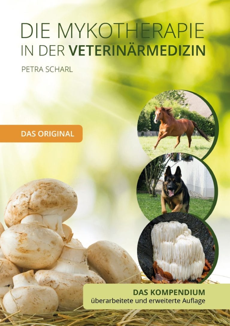 Die Mykotherapie in der Veterinärmedizin