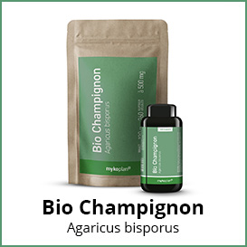 Bio Champignon